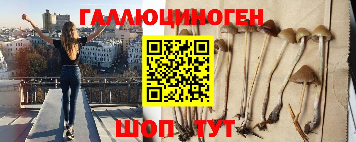 Псилоцибиновые грибы Cubensis  Псилоцибиновые грибы Magic Shrooms  Карпинск  Вход с VPN 